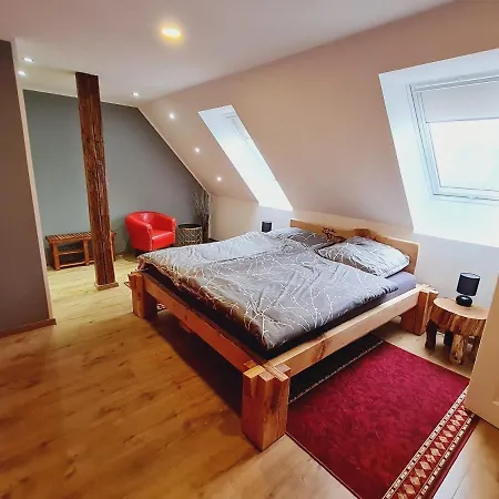 Apartment Harzritter Domizil