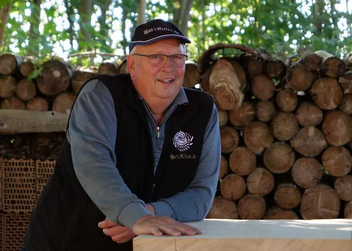 Harzritter Domizil *